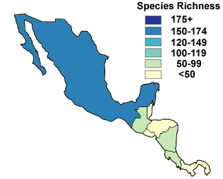 A map of number estimated species in Mexico, the darker the color the more species
