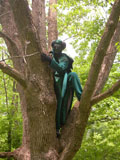 man in emerald ash borer costum in tree