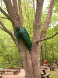 man in emerald ash borer costum pretending to eat tree