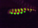 glow worm in the dark