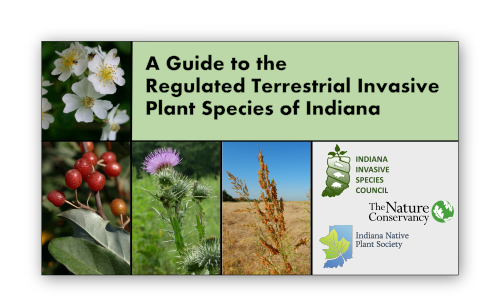 Guide to Invasive Plants of IN cover