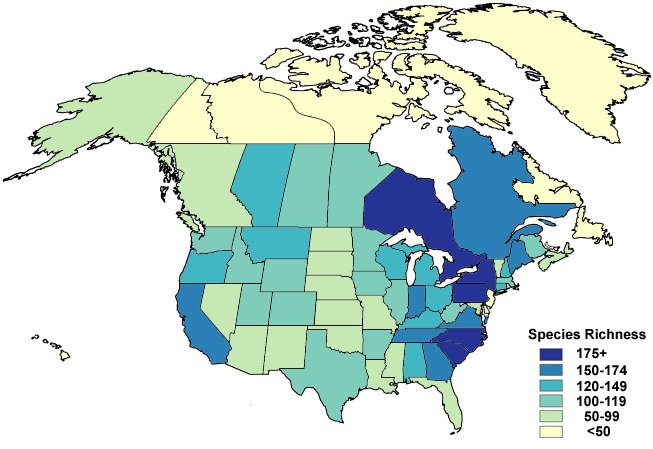 A map of number estimated species in US and Canada, the darker the color the more species