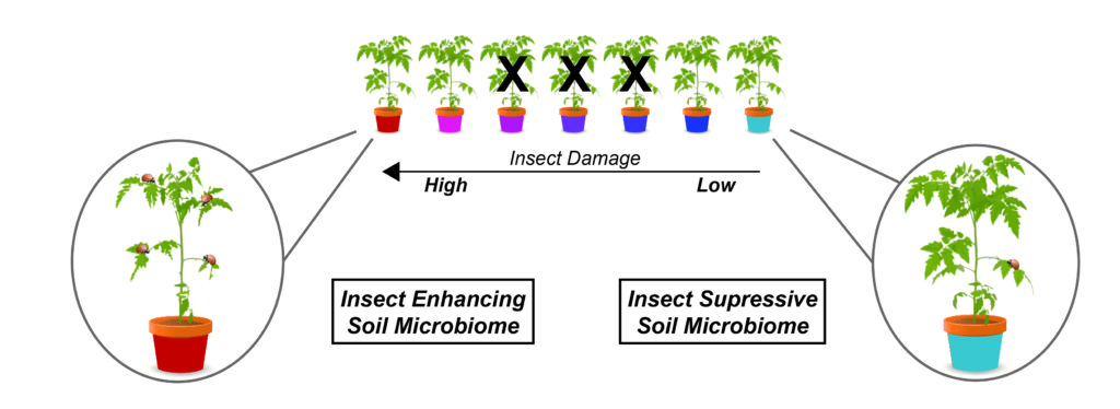 Engineering Beneficial Crop Microbiomes