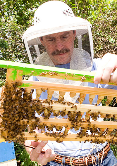 Greg Hunt with Bees