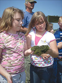 Kids learning about bugs