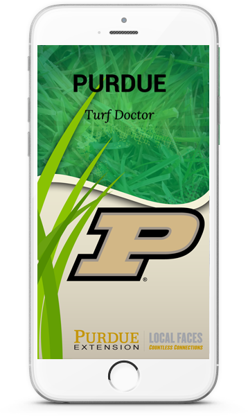 purdue common app